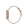 Ceas Daniel Klein Trendy DK.1.12930.3