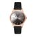 Ceas Daniel Klein Trendy DK.1.12965.5