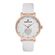 Ceas Daniel Klein Trendy DK.1.12998.1