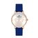 Ceas Daniel Klein Trendy DK.1.13023.3