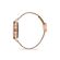 Ceas Freelook Eiffel FL.1.10223.1