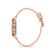 Ceas Freelook Eiffel FL.1.10227.3