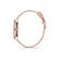 Ceas Freelook Eiffel FL.1.10249.2