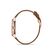 Ceas Freelook Eiffel FL.1.10249.4