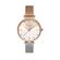 Ceas Freelook Eiffel FL.1.10256.4