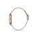 Ceas Freelook Eiffel FL.1.10256.4