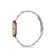 Ceas Freelook Lumiere FL.1.10236.4