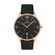 Ceas Daniel Klein Premium DK.1.13064.3