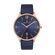 Ceas Daniel Klein Premium DK.1.13064.4