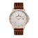 Ceas Daniel Klein Premium DK.1.13065.3