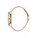 Ceas Daniel Klein Exclusive DK.1.13033.3