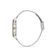 Ceas Daniel Klein Premium DK.1.13031.2
