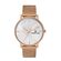 Ceas Daniel Klein Premium DK.1.13032.3