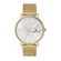 Ceas Daniel Klein Premium DK.1.13032.4