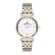 Ceas Daniel Klein Premium DK.1.13034.5