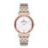 Ceas Daniel Klein Premium DK.1.13034.6