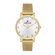 Ceas Daniel Klein Premium DK.1.13036.2