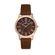 Ceas Daniel Klein Premium DK.1.13038.6