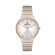 Ceas Daniel Klein Premium DK.1.13041.2