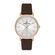 Ceas Daniel Klein Premium DK.1.13046.2