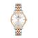 Ceas Daniel Klein Premium DK.1.13061.5