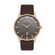 Ceas Daniel Klein Premium DK.1.13066.5