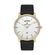 Ceas Daniel Klein Premium DK.1.13067.3