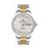 Ceas Daniel Klein Premium DK.1.13069.3