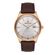 Ceas Daniel Klein Premium DK.1.13071.3