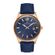 Ceas Daniel Klein Premium DK.1.13071.5