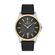 Ceas Daniel Klein Premium DK.1.13073.4