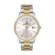 Ceas Daniel Klein Premium DK.1.13074.5