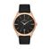 Ceas pentru barbati, Daniel Klein Premium, DK.1.13076.4
