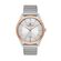 Ceas Daniel Klein Premium DK.1.13077.3
