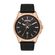 Ceas Daniel Klein Premium DK.1.13079.4