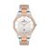 Ceas Daniel Klein Premium DK.1.13083.4