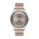Ceas Daniel Klein Premium DK.1.13102.4