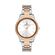 Ceas Daniel Klein Premium DK.1.13091.3