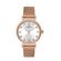 Ceas Daniel Klein Premium DK.1.13094.4