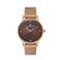 Ceas Daniel Klein Premium DK.1.13184.3