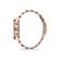 Ceas Santa Barbara Polo Luxury SB.1.10378.3
