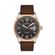 Ceas Daniel Klein Premium DK.1.13266.4