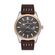Ceas Daniel Klein Premium DK.1.13296.3
