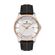 Ceas Daniel Klein Premium DK.1.13297.3