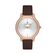 Ceas Daniel Klein Premium DK.1.13209.2