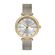 Ceas Daniel Klein Premium DK.1.13218.5