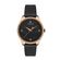 Ceas Daniel Klein Premium DK.1.13222.4