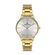 Ceas Daniel Klein Premium DK.1.13243.4