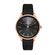 Ceas Daniel Klein Premium DK.1.13252.1