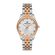 Ceas Daniel Klein Premium DK.1.13258.4